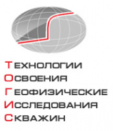 Логотип компании ТОГИС